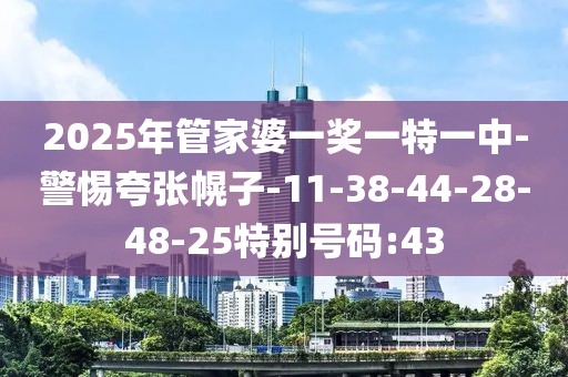 2025年管家婆一奖一特一中-警惕夸张幌子-11-38-44-28-48-25特别号码:43