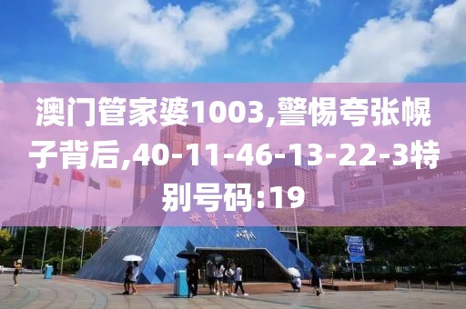 澳门管家婆1003,警惕夸张幌子背后,40-11-46-13-22-3特别号码:19